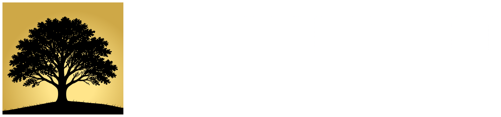 Openlucht Filmfestival
